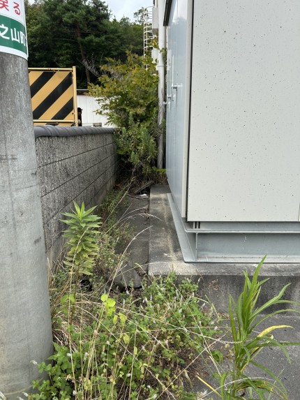 雑木・雑草撤去